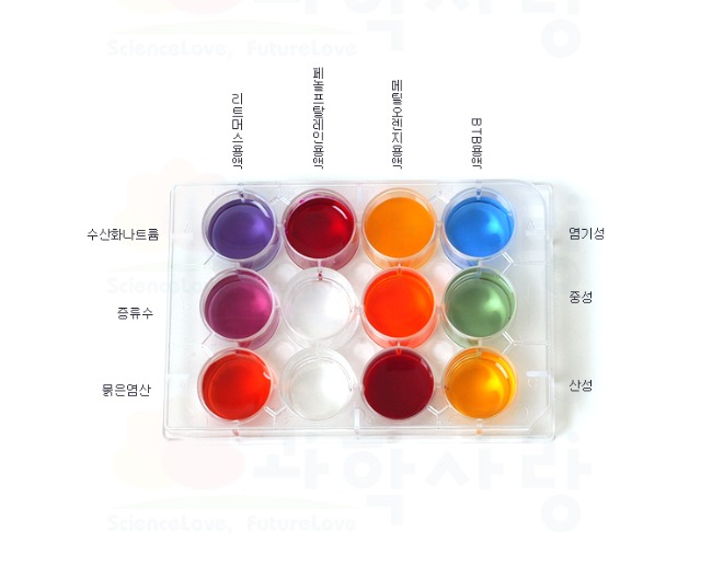 지시약의색깔변화실험세트