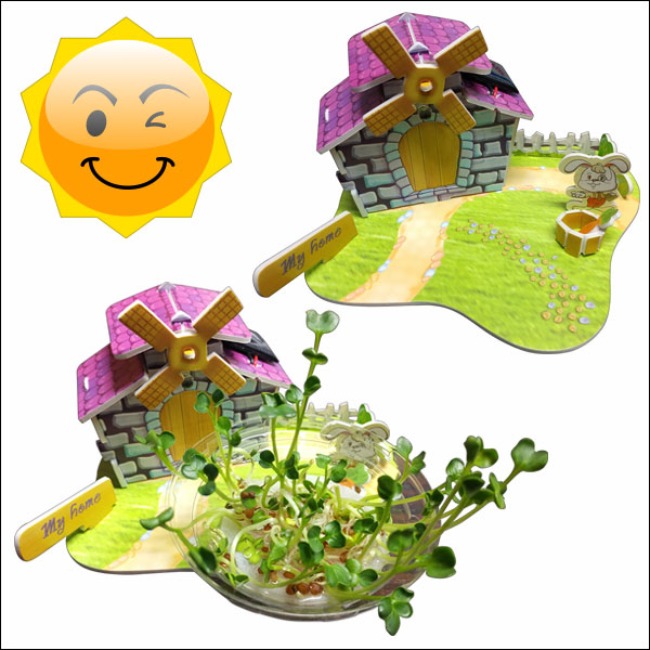 뉴 3D 입체퍼즐 태양광 주택 새싹채소형 1인용