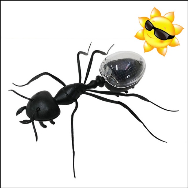 태양광 개미 진동로봇 완성품