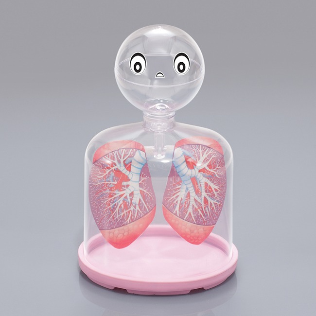 호흡의 구조모형 허파실험장치