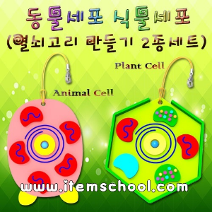세포열쇠고리만들기(식물+동물 2종 세트)