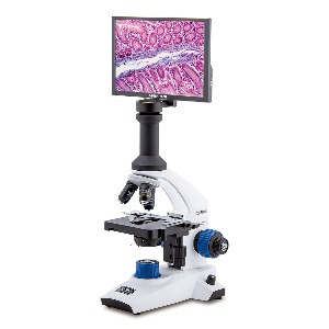 생물 현미경 OSH-400DM
