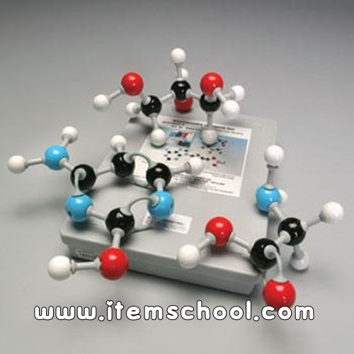 생화학 분자모델(학생용)