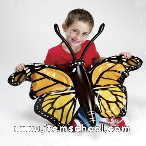 나비의 일생 모형 (4종) Inflatable Butterfly Life Cycle